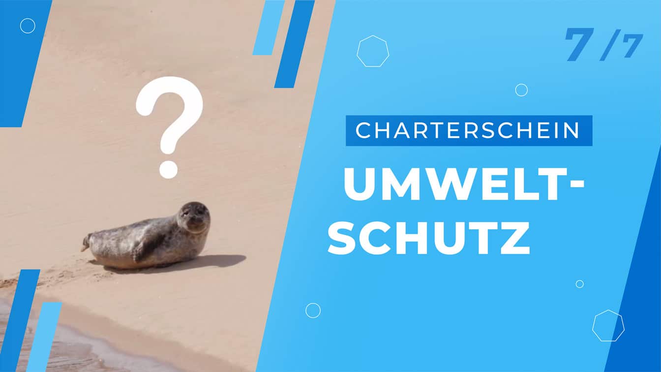 fotograf-videograf-potsdam-brandenburg-marketing-agentur